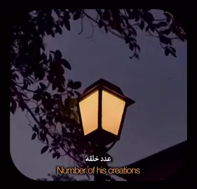 #creatorsearchinsights الحمد لله 🤍☝️🤍 #أجمل_المقاطع #islamic_video #peace #فلسطين🇵🇸 