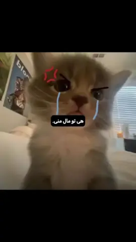 @👩🏼‍❤️‍💋‍👩🏼 اوکیییی؟؟؟؟ ‌ ‌ #𝙛𝙤𝙧𝙮𝙤𝙪𝙪𝙪𝙪𝙪𝙪𝙪𝙪𝙪𝙪𝙪𝙪𝙪𝙪𝙪 #𝙛𝙮𝙥𝙥𝙥𝙥𝙥 #𝙫𝙖𝙞𝙧𝙖𝙡 #𝙚𝙙𝙞𝙩𝙩 #𝙡𝙤𝙫𝙚‌