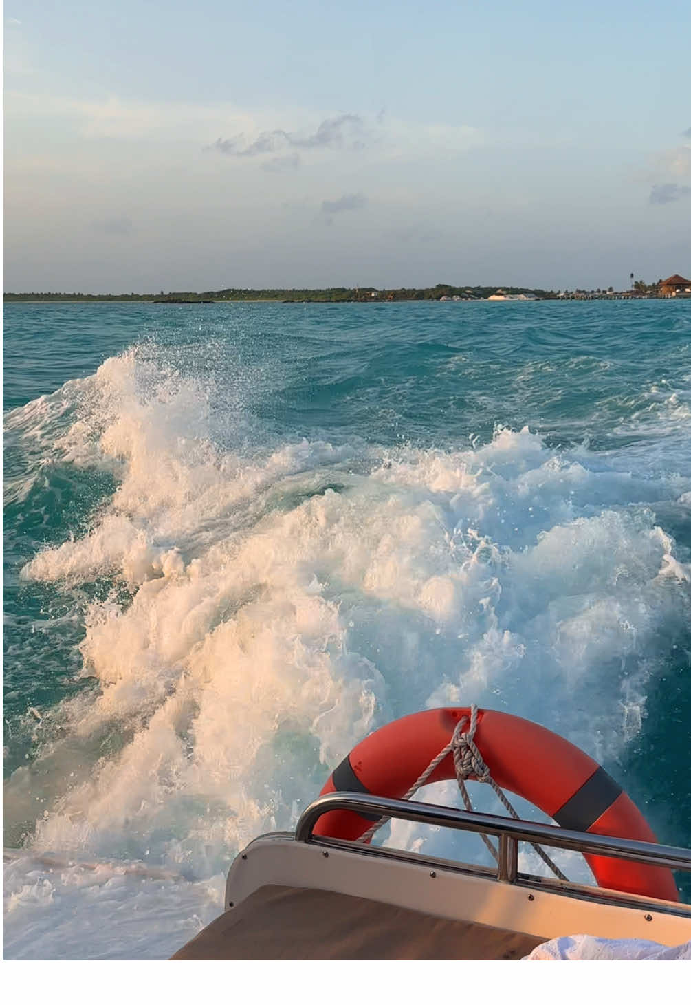 POV: you take a boat trip in the Maldives to see wild dolphins 🐬 #dolphin #boat #boattour #maldives #ocean 