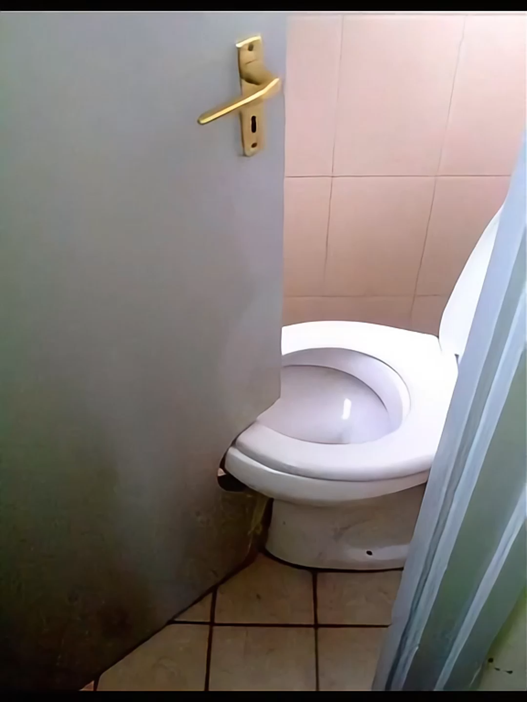 When “professional work” looks like THIS… 🏗️🤣 | #ConstructionFail #EpicFail #FunnyVideo #Viral