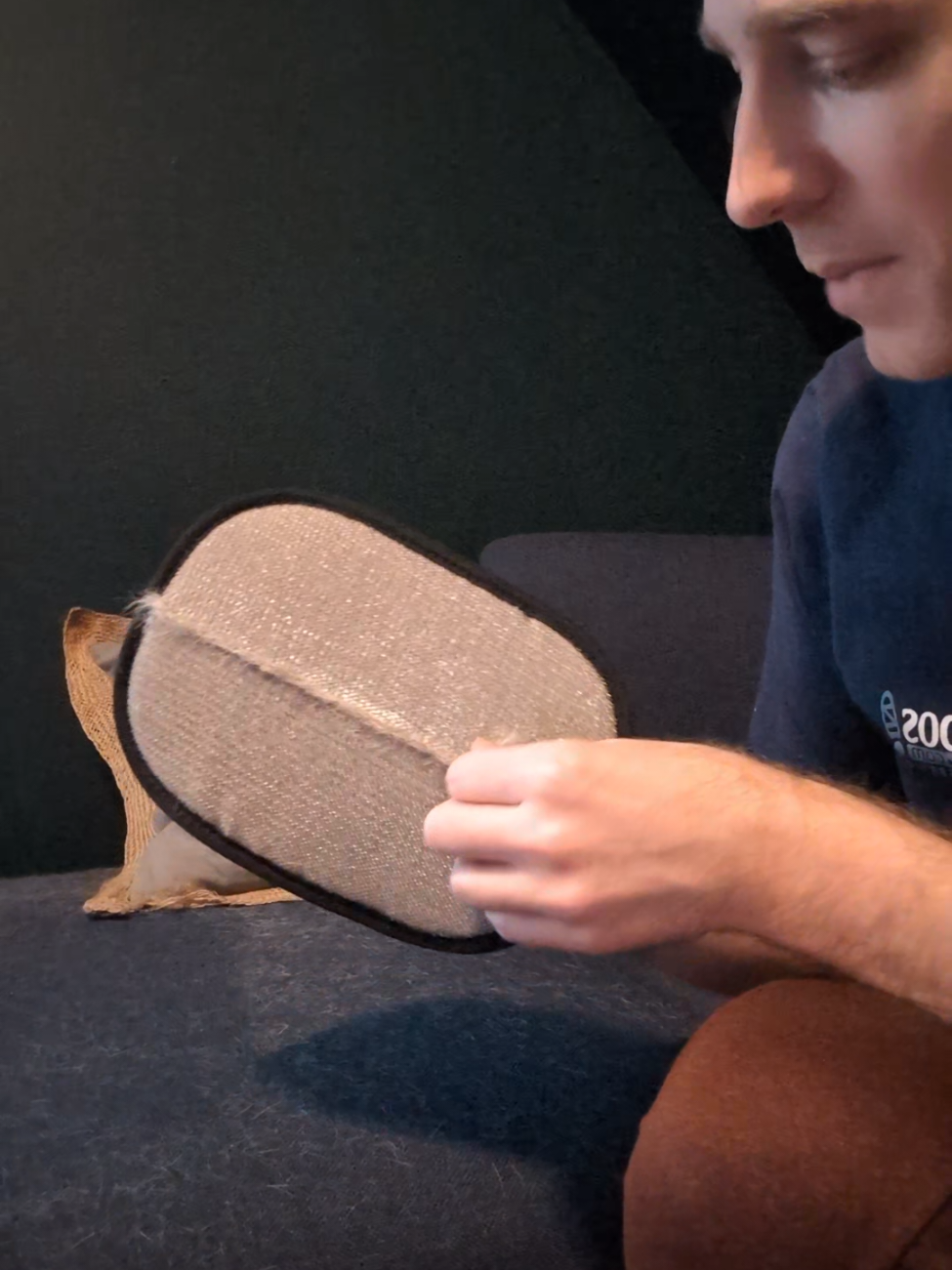 Do these pet hair removal gloves actually work? I tried it on my couch with fabric that likes to trap pet hair!