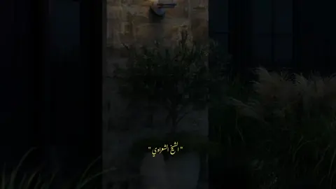 #عليه افضل الصلاة والسلام # #الشيخ _الشعراوي #
