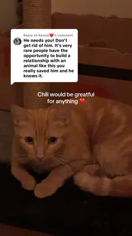 Replying to @Kenzie❤ thank you guys for loving chili ❤️ @Chili’s Grill & Bar 