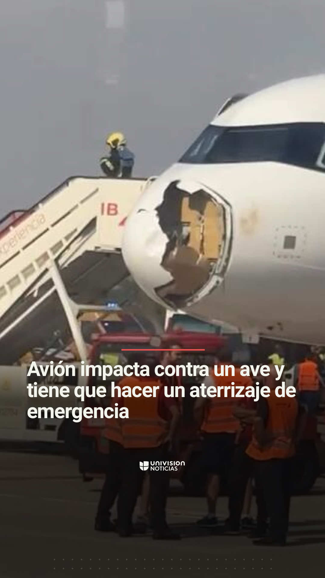 ✈️ Un avión impactó contra un ave y tuvo que aterrizar de emergencia. El pasajero Giancarlo Sandoval grabó los tensos minutos que pasaron en un avión de la aerolínea Iberia. “¡Qué susto!“, dijo el pasajero que viajaba en el vuelo de Madrid con destino a París, Francia. Informa Leomar Córdova. #Pasajero #Avión #Susto #Aerolínea #Iberia #Accidente #Emergencia #Aterrizaje #AterrizajeDeEmergencia #UniNoticias #UnivisionNoticias 