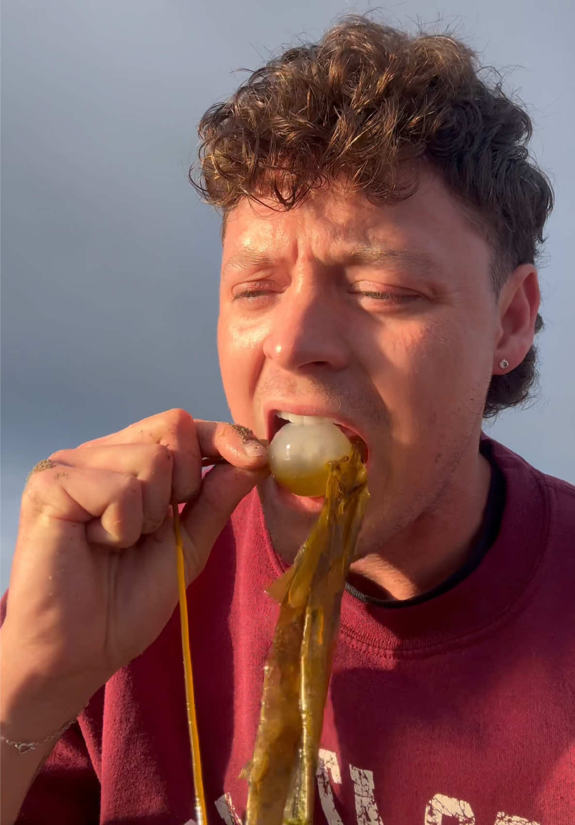 Extremely Satisfying Popping Gushing Sea Balls! #nature #asmr 