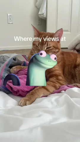 I swear if this gets famous! #viral #fyp #Meme #MemeCut #lizard 