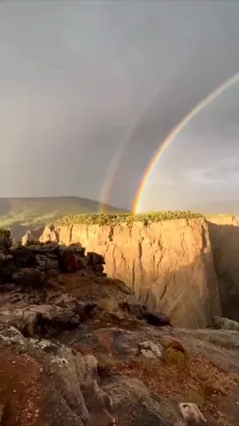 #beautiful #nature #conquestofparadise #earth #loveofnature 