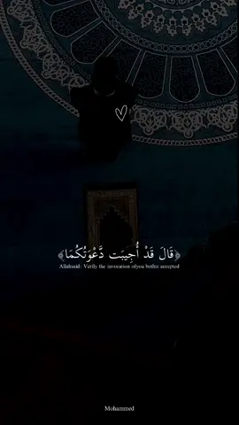 قال قد اجيبت دعوتكما #قران_كريم #عبدالرحمن_مسعد #🥺 #قران_كريم_ارح_سمعك_وقلبك♡ #quran 