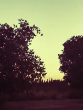 Summer❤️ #lanadelrey #60s #film #Summer #lanatok 