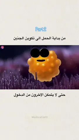 #الحمل 