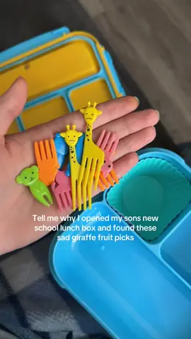 Yall don’t even want to see what the dog ones look like💀 #fyp #trending #lunch #lunchbox #sad 