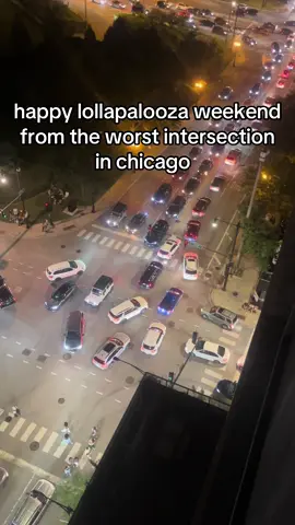 this went on for at least 20 minutes #lollapalooza #chicago #downtownchicagovibes  #lollapaloozachicago 