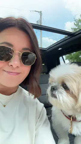 Thank you! @Lilly Serna -Stella loves it. 💕 #unboxing #gift #doginfluencer #dog #shihtzu 