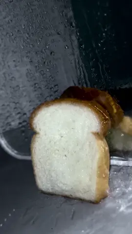 bread #bread 