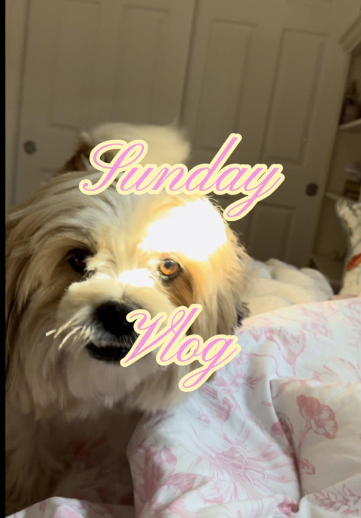 that was kinda the perfect day… besides missing sabrina at lolla #sabrinacarpenter #lollapalooza #jerseyshore #Vlog #summervlog 
