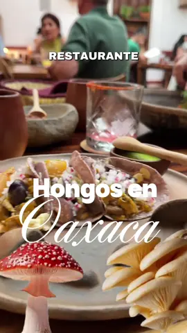 Dónde comer en Oaxaca: Levadura de Olla es un 10/10 sin pensarlo ✨ #oaxaca #dondecomer #levaduradeolla #foodies #comidamexicana #michelin #Vlog #hongos #mexicanaenparis #francesenmexico #fyp #guelaguetza