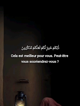 🎧✨ Sourate 2 An_Nur  v26-28 • 🎙️ Abdoullah Matroud  #quran #quran_alkarim #islamic_video #france#belgique#unitedstates#quranrecitation 