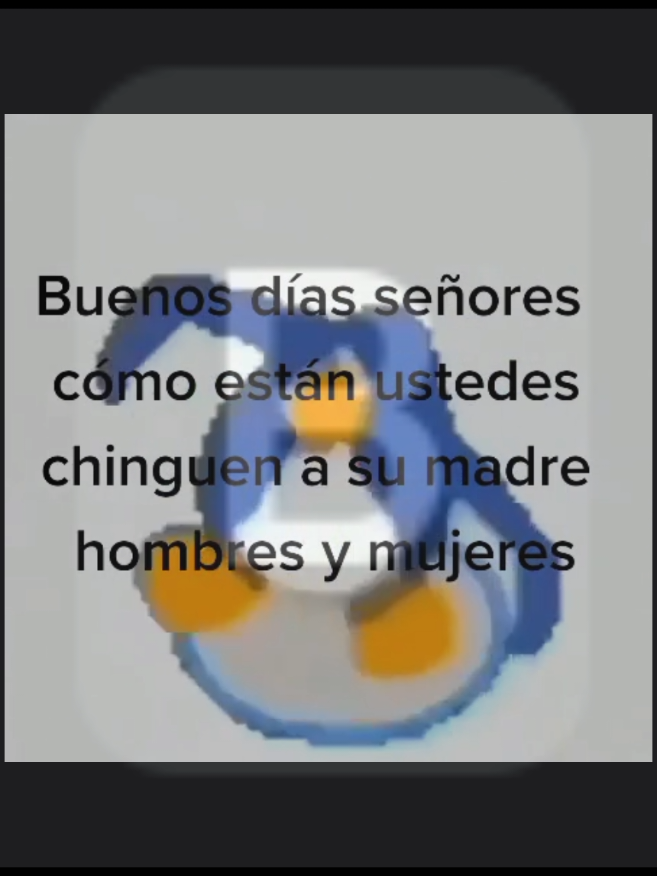Buenos días señores 🤠 // llevaba tiempo sin editar 😫 #elmonodealambre #monodealambre #buenosdias #fippppppppppppppppppppppppppppppppシ #viral #fipシ #paratii #tiktok #viraltiktok #tiktokparati #fipp 