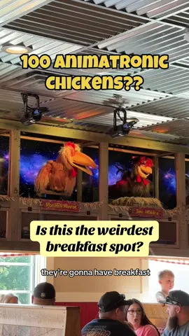 Did you catch the chicken pun I hid in the video? 👀🐔 Frizzle Chicken Café in Pigeon Forge is part breakfast spot and part live chicken concert (yes, really). With animatronic chickens singing pop classics and a pancake menu your kids will not stop talking about, it’s one of the most unique and family-friendly spots we’ve ever been to. Thanks to @frizzlechicken for having us! We’re the O’Haras- two parents, two toddlers, and one mission: find the most fun (and usually a little wacky) family adventures out there. Follow along for more budget-friendly, kid-approved travel ideas! ✈️🎢🧃 #FamilyTravel #PigeonForgeEats #FrizzleChickenCafe #KidFriendlyRestaurants #OHarasOnTheGo #WackyAdventures #PigeonForgeWithKids #FamilyFun #TravelWithToddlers#CapCut 