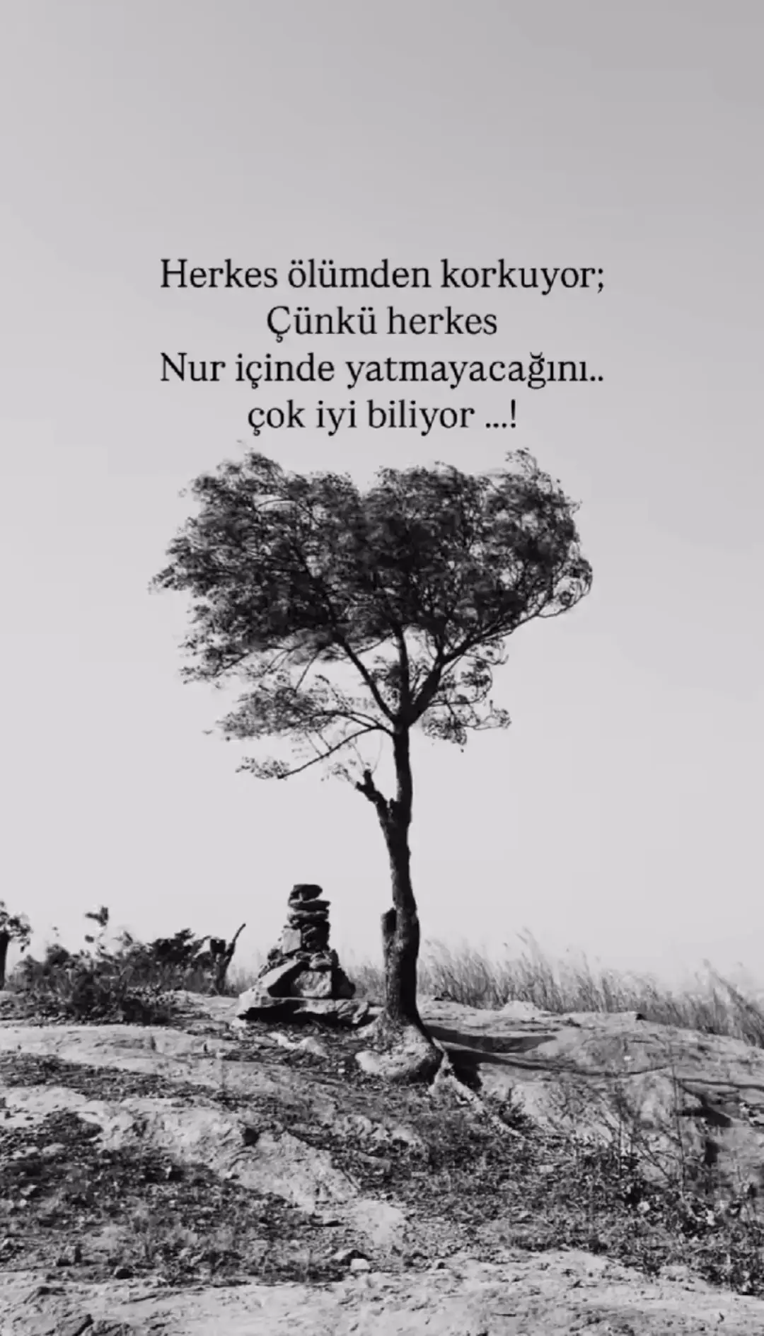 #yfpシ #🥀🕊️🖤🕊️🥀 
