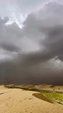 لايك 