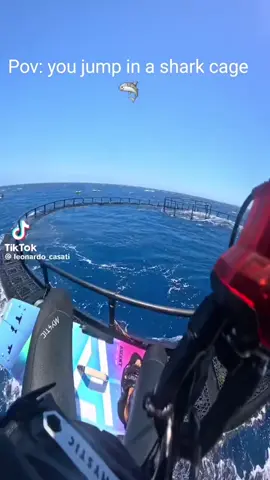 Jumping in a shark cage ☠️🤯