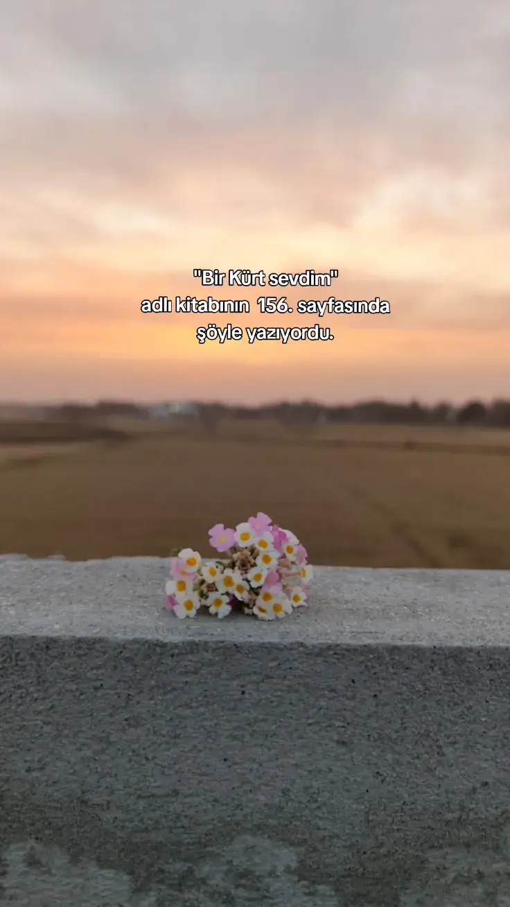 #birkürtsevdim 