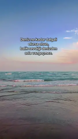#fyp #kəşfet #beniöneçıkart #keşfetteyizzz #keşfetteyizzz 