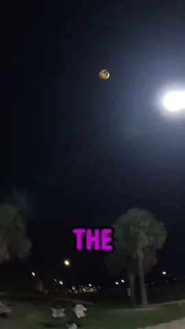 ACTION PACKED RALLY!! #volleyball #beachvolleyball #sports #beach #pov #povs #satisfyingvideo #gopro #fyp #compilation #volleyballplayer #wilson #trending #viralvideo 