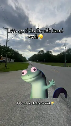 #CapCut #fyp #moot #lizard #unitedstates  :took it down and re uploaded it 😭