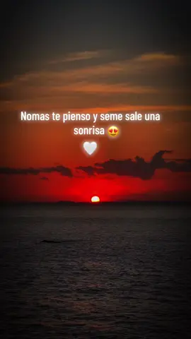 #parati #miamor😍 #frasesparadedicar♥️ #teamo❤️😍miamor #fypシ゚viral 