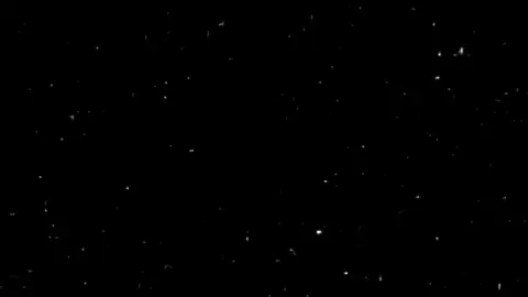 🖤#fyp #foryou #pyfツ #viral #roman_nheli #strankurdi #music 