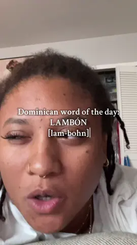 Lambón ... lambónaso ... freeloader, kiss ass #fyp #dominican #foryourpage 