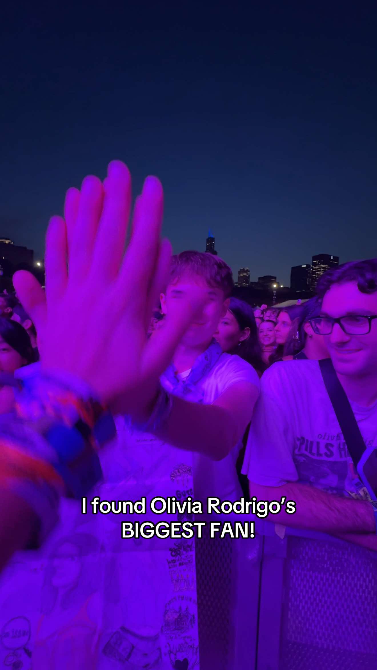 HOW LONG DID THIS TAKE?  #lollapalooza 