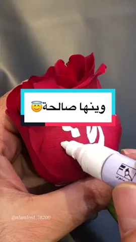 منشنوا صالحة 🏃🏻‍♀️@صالحة 🇸🇦 @صالحة 📸. @صالحة 🕊️ @صالحة 🤍🧕 @صالحة 𐙚⋆✿ @صالحة 🤍@صالحة 💜 @صالحة 🇾🇪 @صالحة 🇸🇦 @صالحة🕊️ @صالحة القحطاني @صالحة الحياني 💫 @صالحة أم الجوهرة💎 @صالحة القحطاني 🍪 #خطي #خط #صالحة #الخطاط_وليد_النمي #كتابة_أسماء #كتابة_عالورد #اليمن 