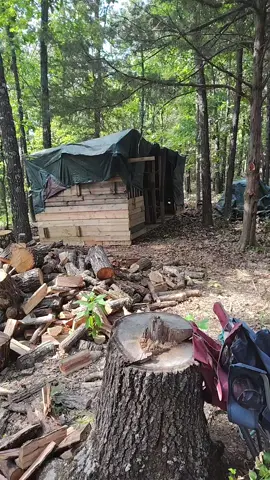 📍#GritByGraceAcres #WoodshedBuild #HomesteadLife #FirewoodSeason #OffGridLiving #HomesteadReality #PreparedForWinter #KindlingPile #WoodHeat #OzarksHomestead 