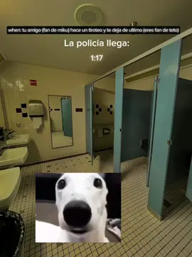 Animación q no c porque la hice