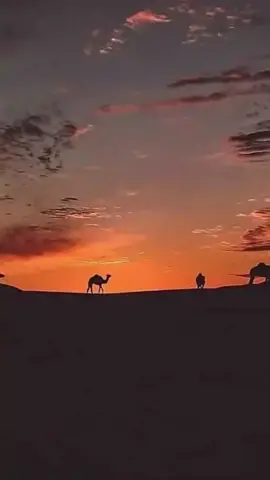 #fypp #الصحراء_الغربية 