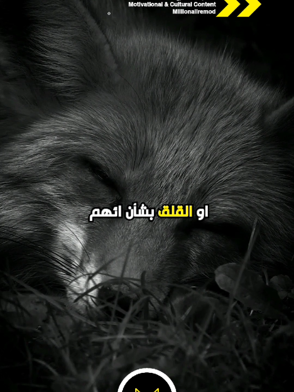 #explore #سؤال بسيط