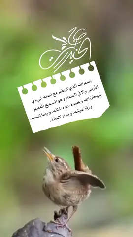 ‏بسم الله الذي لا يضر مع اسمه شيء في الأرض ولا في السماء وهو السميع العليم🤍 #foryou #foryoupage #fypシ゚ 
