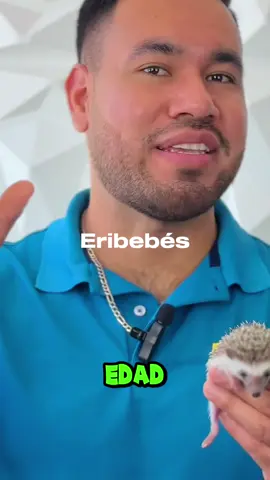 ¿𝐓𝐞 𝐢𝐧𝐭𝐞𝐫𝐞𝐬𝐚 𝐮𝐧 𝐞𝐫𝐢𝐛𝐞𝐛𝐞́? 🦔❤️            Tienda erizoomexico.com 👈 3 meses sin intereses con tarjeta de crédito 💳 Más información ℹ️ https://linktr.ee/erizoomx Somos una tienda registrada ante SEMARNAT de Eribebés y accesorios. Envíos seguros a todo México 🇲🇽 𝐏𝐨𝐫 𝐬𝐨́𝐥𝐨 $𝟑𝟗𝟗𝟗 𝐭𝐢𝐞𝐧𝐞𝐬 𝐚 𝐭𝐮 𝐄𝐫𝐢𝐛𝐞𝐛𝐞́ + 𝐞𝐬𝐭𝐨𝐬 𝐫𝐞𝐠𝐚𝐥𝐨𝐬 🦔 Eribebé de tu preferencia 🦔 Envío gratis y asesoría de por vida 🦔 Nota de legal procedencia. 🦔 Bebedero, comedero y transportadora. 🦔 Revisión veterinaria previa. 🦔 Desparasitación interna y externa. 🦔 Alimento para un mes. 🦔 PDF de cuidados y carnet. Son una gran mascota, muy diferente y tierna que esperan ser parte de tu familia. Compra en nuestra tienda en línea erizoomexico.com (link directo en nuestro perfil) 𝐀𝐜𝐞𝐩𝐭𝐚𝐦𝐨𝐬 𝐭𝐨𝐝𝐚𝐬 𝐥𝐚𝐬 𝐟𝐨𝐫𝐦𝐚𝐬 𝐝𝐞 𝐩𝐚𝐠𝐨: Mercado pago, transferencia, depósito bancario, OXXO. ¿𝐓𝐢𝐞𝐧𝐞𝐬 𝐝𝐮𝐝𝐚𝐬? 𝐂𝐨𝐧𝐭𝐚́𝐜𝐭𝐚𝐧𝐨𝐬 Llama ☎️ 461 103 3959 ¿𝐐𝐮𝐢𝐞𝐫𝐞𝐬 𝐚𝐩𝐫𝐞𝐧𝐝𝐞𝐫 𝐚 𝐜𝐮𝐢𝐝𝐚𝐫𝐥𝐨? 🦔❤️ Tenemos más de 200 videos para ti en nuestro canal de YouTube 👉 Erizoo Mexico Link https://youtube.com/@ErizooMexico 𝐇𝐨𝐫𝐚𝐫𝐢𝐨: L-V 8 a 5