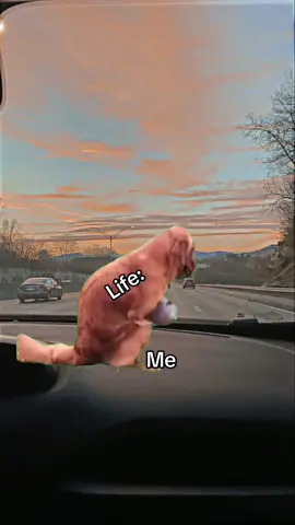 #MemeCut #Meme #MemeCut 