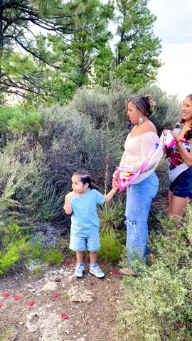 Such a beautiful proposal for my nephew and his bride. 👰🏻‍♀️ 💍🥰 Sunday kinda love. Congratulations 🍾 to our babies. 