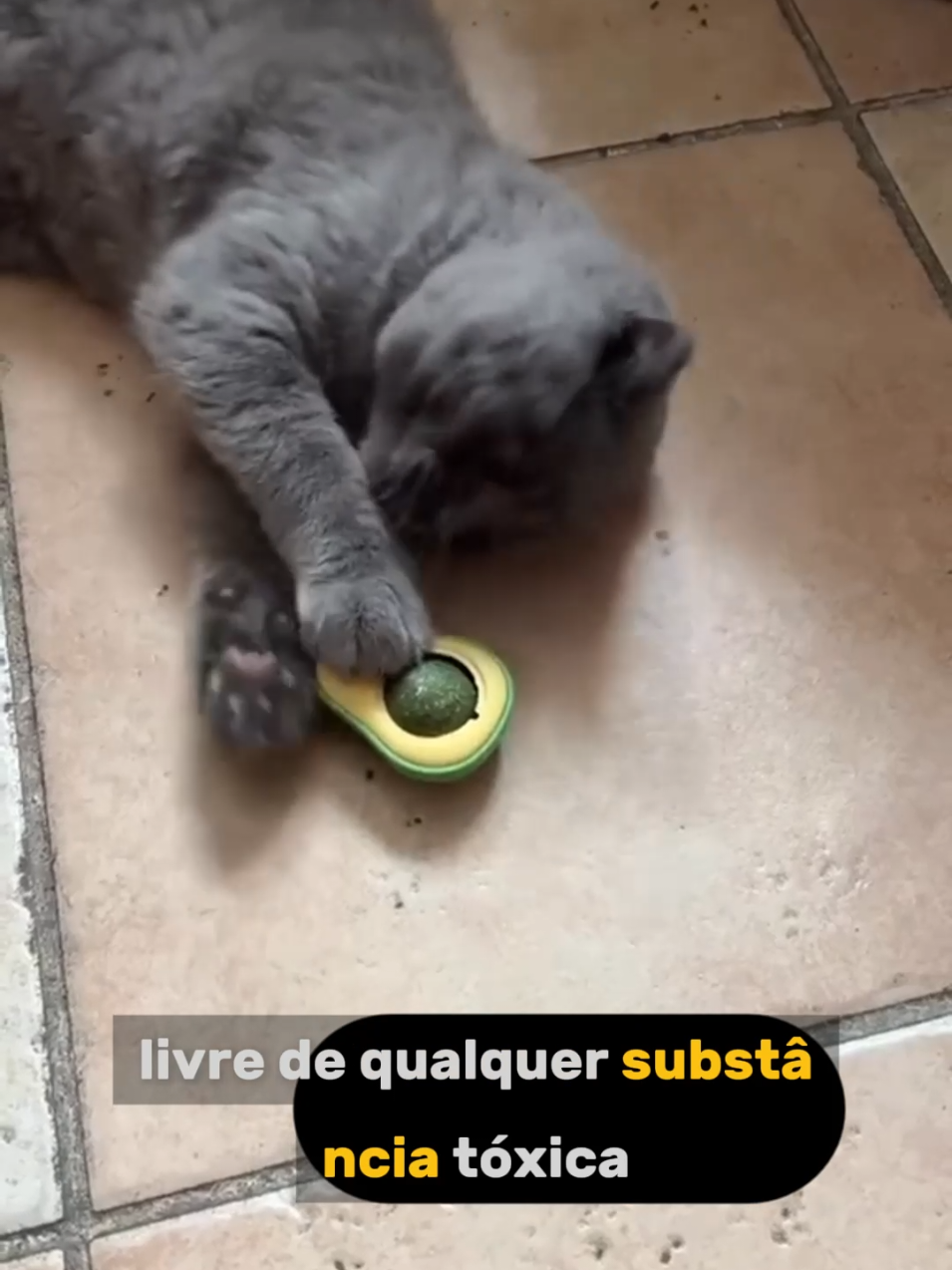 Transforme o dia do seu gato com esse achado! 🥑😻 O brinquedo de abacate com catnip que vai deixar seu pet maluco de felicidade! #tiktokshopchegou #tiktokbrasil #gatos #brinquedopet #catnip #paidegato #maedegato #enriquecimentoambiental #dica #achadinhos #produtoviral #gatinhos #compraonline #promocao #ofertas #pet #avocado 