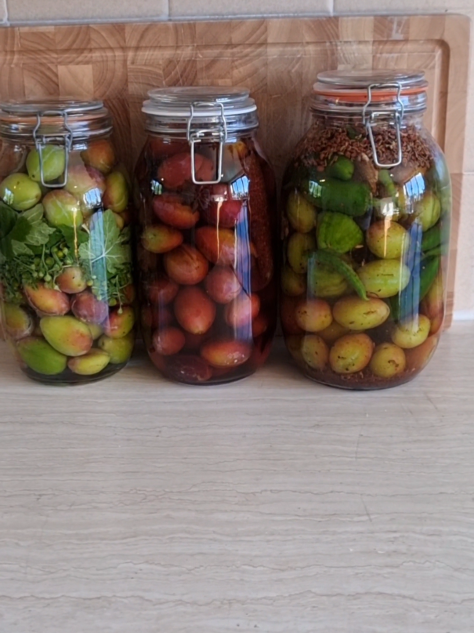 Picking & preserving plums 3 ways!  1)Pickled sour plums with salt, vinegar, green chilli peppers & spices 2) Lactofermented brined unripe plums with 3 types of currant leaves and pineapple weed 3)Spiced ripe plum rum with Pimms #pickledplum #plums #fermentedplums #plumrecipe  #fermentedfoods 