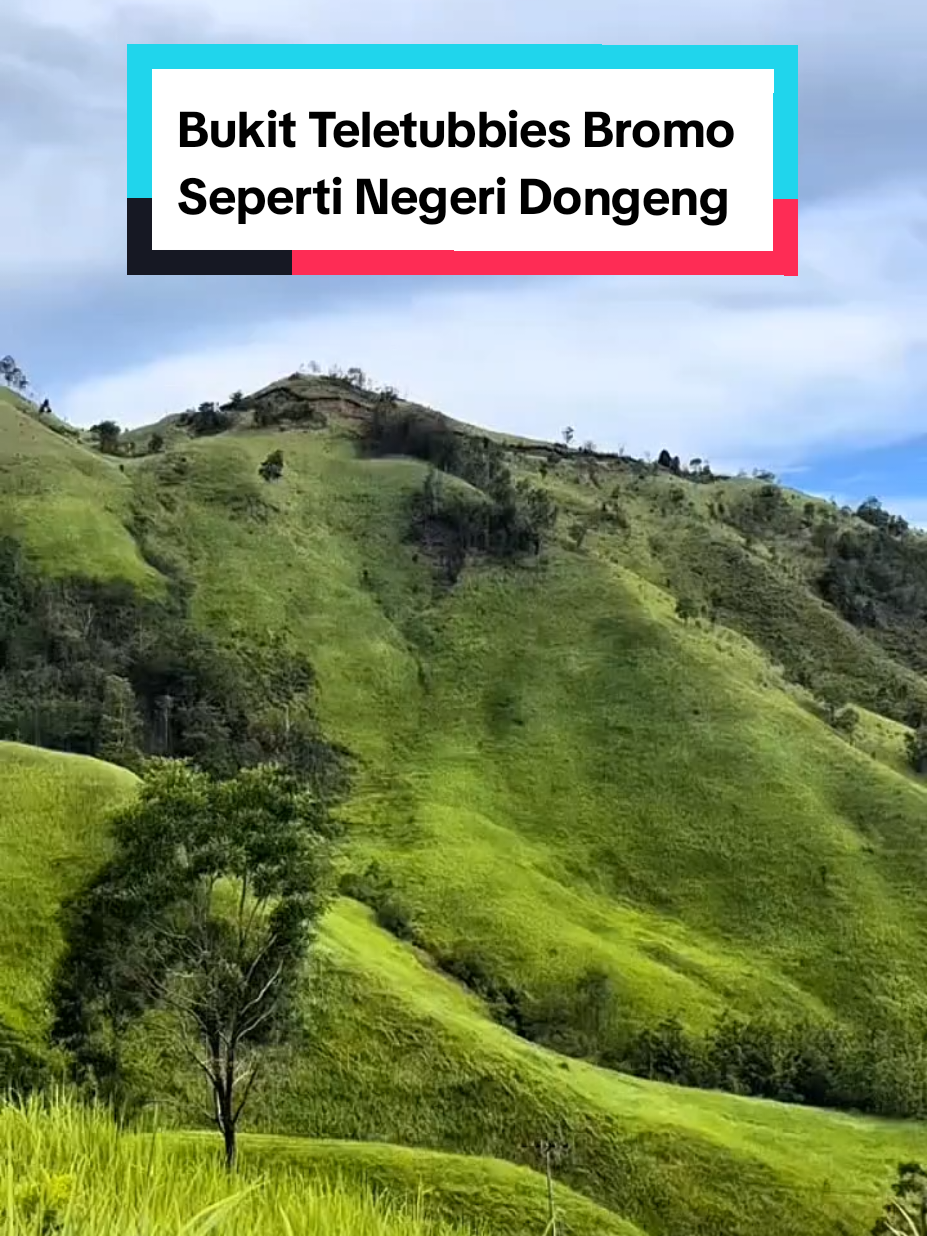 Bukit Teletubbies Bromo, Cantik Banget Kayak di Negeri Dongeng #wisata #explore #jawatimur #hiddengem #hiddengems #bromo #bukitteletubiesbromo #fyp #viral 