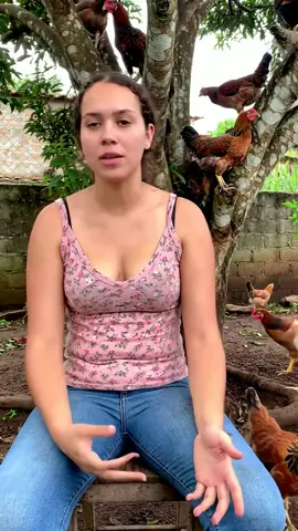 segue eu aí sô🥰❤️ #natureza #roça #campo ##vidasimples #fyp #fyppppppppppppppppppppppp #fypviral #galinha #novinha 
