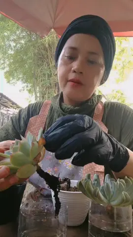 gitu ya bunda #bundacorla 