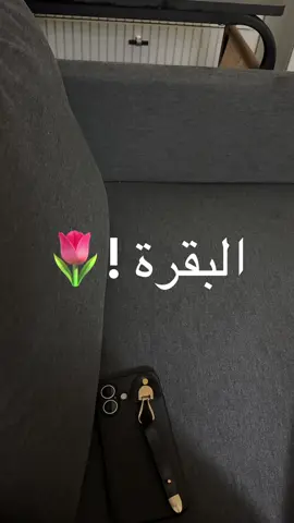 الله يثبتنا جميع #مواضيع_عبير #fyp #foryou #fypシ #الشعب_الصيني_ماله_حل😂😂 #مالي_خلق_احط_هاشتاقات #اجر_لي_ولك #اجر_لي_ولكم #اكسبلور 