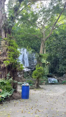 Mimbalot Falls 🍃 #mimbalotfalls #iligancity #fyp 